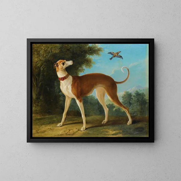 Levriero in un paesaggio - Jean-Baptiste Oudry — quadro incorniciato alla parete