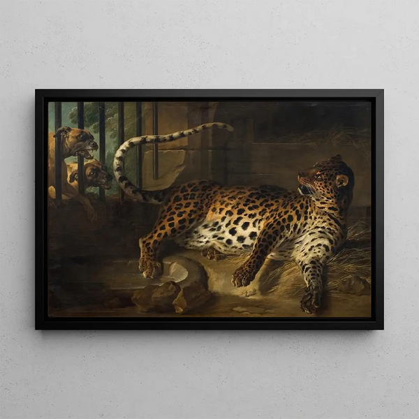 Leopardo in gabbia confrontato a due levrieri - Jean-Baptiste Oudry — quadro incorniciato alla parete