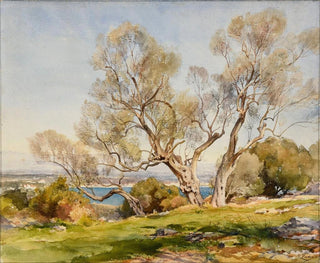 JeanHenri Zuber - Les oliviers Cap dAntibes.webp