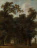 Una strada ombreggiata - Jean-Honoré Fragonard — vista dell’opera