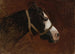 Profilo di un cavallo - Jean-Léon Gérôme — vista dell’opera