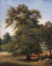 Studio di un albero - Jean-Victor Bertin — vista dell’opera