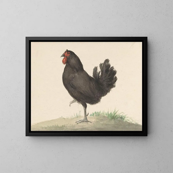 Pollo nero in piedi - Jean Bernard — quadro incorniciato alla parete