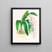 Aerides augustianum - Jean Jules Linden — quadro incorniciato alla parete