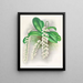 Citrate d'Angraecum - Jean Jules Linden — quadro incorniciato alla parete