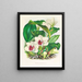 Bifrenaria harrisoniae - Jean Jules Linden — quadro incorniciato alla parete