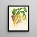 Brassia caudée - Jean Jules Linden — quadro incorniciato alla parete