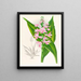 Calanthe Masuca - Jean Jules Linden — quadro incorniciato alla parete