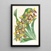 Catasetum rodigasianum - Jean Jules Linden — quadro incorniciato alla parete