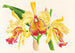 Cattleya aurea - Jean Jules Linden — vista dell’opera