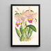 Cattleya Trianae - Jean Jules Linden — quadro incorniciato alla parete