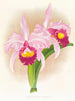 Cattleya Trianae var purpurata - Jean Jules Linden — vista dell’opera
