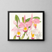 Cattleya eldorado - Jean Jules Linden — quadro incorniciato alla parete