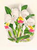 Cattleya kimballiana - Jean Jules Linden — vista dell’opera