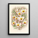 Dendrobium Falconeri - Jean Jules Linden — quadro incorniciato alla parete