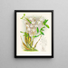 Dendrobium bursae - Jean Jules Linden — quadro incorniciato alla parete