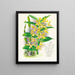Dendrobium mirbelianum - Jean Jules Linden — quadro incorniciato alla parete