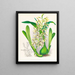 Épidendrum prismatocarpum - Jean Jules Linden — quadro incorniciato alla parete