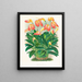 Masdevallia è impetuoso - Jean Jules Linden — quadro incorniciato alla parete