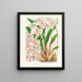 Odontoglossum alexandrae var. cutsemianum - Jean Jules Linden — quadro incorniciato alla parete