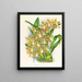 Odontoglossum boddaertianum - Jean Jules Linden — quadro incorniciato alla parete