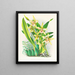 Odontoglossum duvivierianus - Jean Jules Linden — quadro incorniciato alla parete