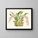 Odontoglossum lucianianum - Jean Jules Linden — quadro incorniciato alla parete