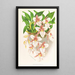 Odontoglossum rubescens - Jean Jules Linden — quadro incorniciato alla parete