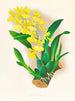 Oncidium concolor - Jean Jules Linden — vista dell’opera
