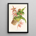 Paphinia Randi Paphinia Cristata - Jean Jules Linden — quadro incorniciato alla parete