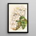 Phalaenopsis Stuartiana - Jean Jules Linden — quadro incorniciato alla parete