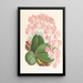 Phalaenopsis sanderiana - Jean Jules Linden — quadro incorniciato alla parete