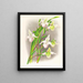 Selenipedium sedeni candidulum - Jean Jules Linden — quadro incorniciato alla parete