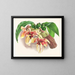 Stanhopea tigrina - Jean Jules Linden — quadro incorniciato alla parete