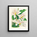 Stanhopea oculata - Jean Jules Linden — quadro incorniciato alla parete