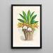Trichocentrum Tigrinum - Jean Jules Linden — quadro incorniciato alla parete