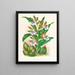 Zygopetalum intermedio - Jean Jules Linden — quadro incorniciato alla parete