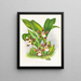 Zygopetalum jorisinum - Jean Jules Linden — quadro incorniciato alla parete