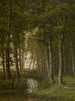 Paesaggio di solitudine nei dintorni di Schilde - Jean-Pierre François Lamorinière — vista dell’opera