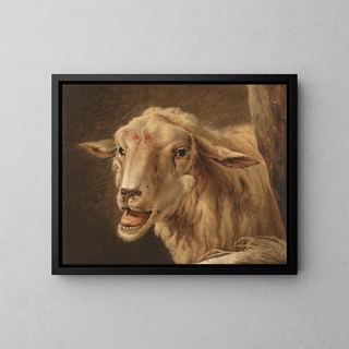 Jean Zacherie Mazel - Schaapskop after Andries Vermeulen.webp