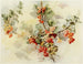Groselles - Jeanne M. Stewart — vista dell’opera