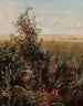 Fiori selvatici - Jerome Thompson — vista dell’opera