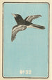 Catalogue illustré des obus de jour No 32 - Jinta Hirayama — vista dell’opera
