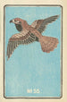 Catalogue illustré des bombes de jour n° 55 - Jinta Hirayama — vista dell’opera