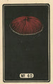 Feux d'artifice nocturnes n° 40 - Jinta Hirayama — vista dell’opera