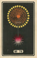 Feux d'artifice nocturnes n° 78 - Jinta Hirayama | Reproduction — vista dell’opera