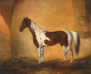 Johann Adam Klein - A horse in a stable.webp
