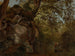 Studio dell'albero - Johann Baptist Kirner — vista dell’opera