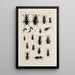 Archives de l'histoire des insectes Pl31 - Johann Caspar Füssli — quadro incorniciato alla parete