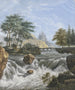 Cascata tra le montagne sul lato e conifere sullo sfondo - Johann David Passavant — vista dell’opera